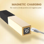 Secret Lipstick Vibrating Pleasure Device - Image 8