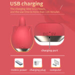 Women's Sensual Pleasure Rose Toy - Image 7