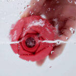 Blooming Rose Vibrator: Adult Pleasure Toy - Image 6