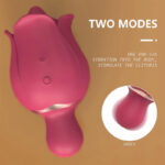 Dual Rose Tongue Vibrator - Image 4