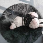 T-2383  Lace bikini women's one-piece sexy sheer lace concealed clasp set - Image 8