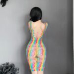 W-0010 Erotic lingerie jacquard sexy colorful mesh - Image 3
